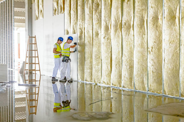 Best Insulation Installation Services in Magnolia, OH